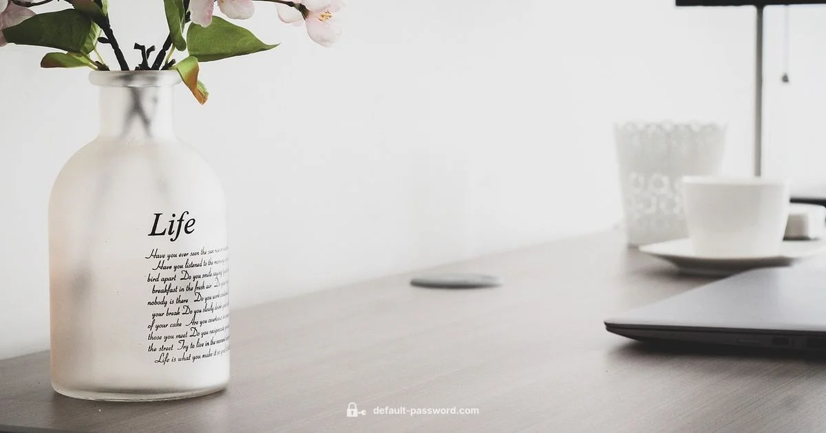 Red Fiber Security - Default Password