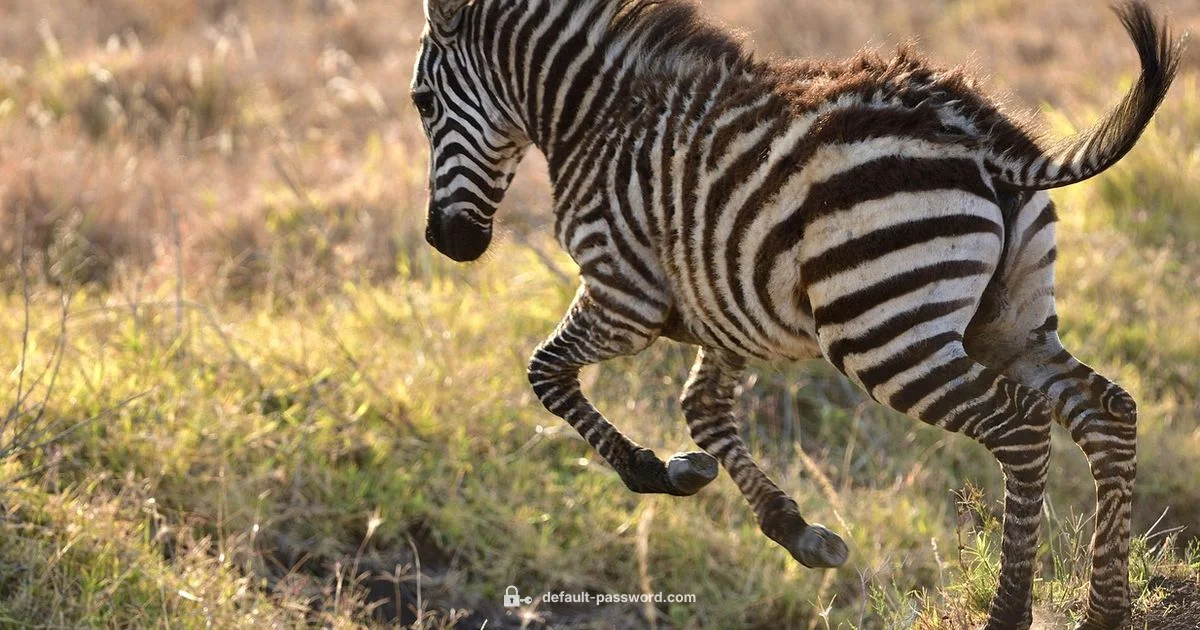 Secure Zebra Devices - Default Password