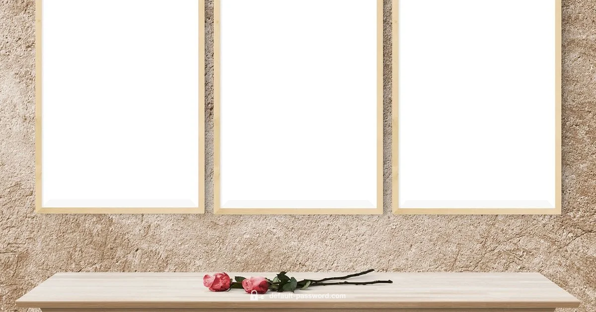 Admin Access - Default Password