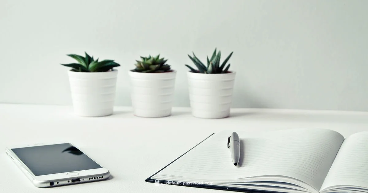 T46S Password Guide - Default Password