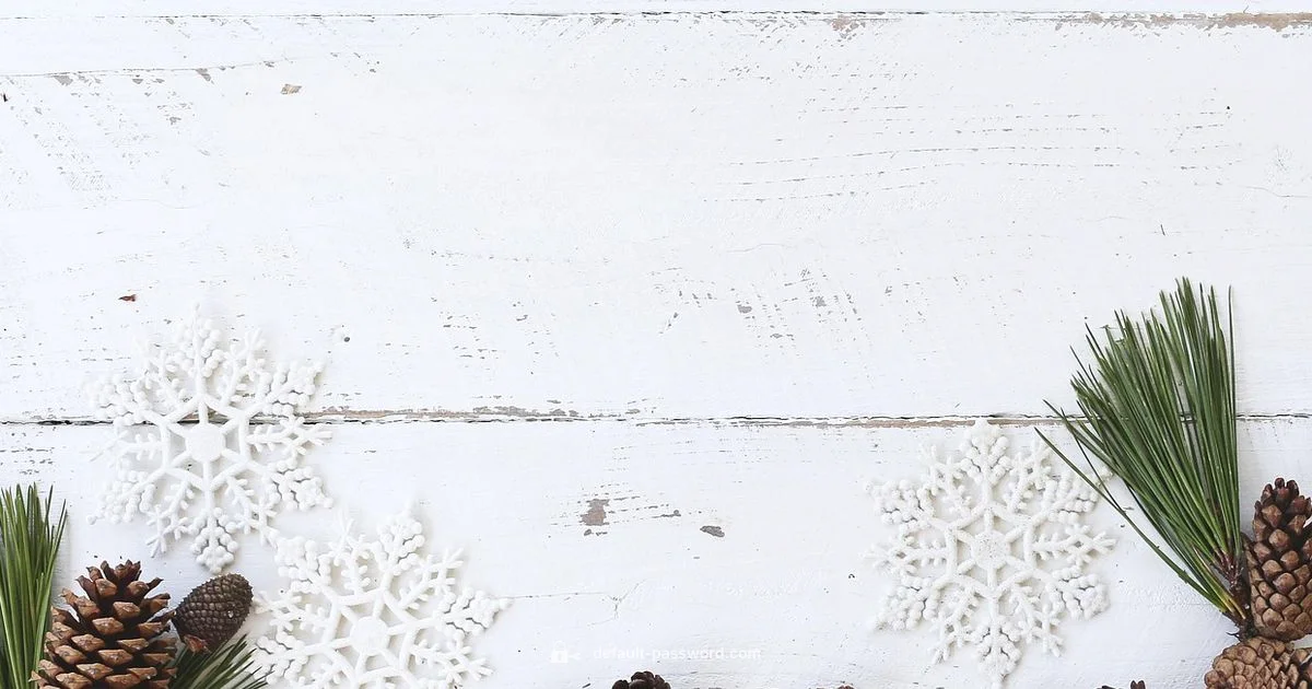 Router Password Security - Default Password