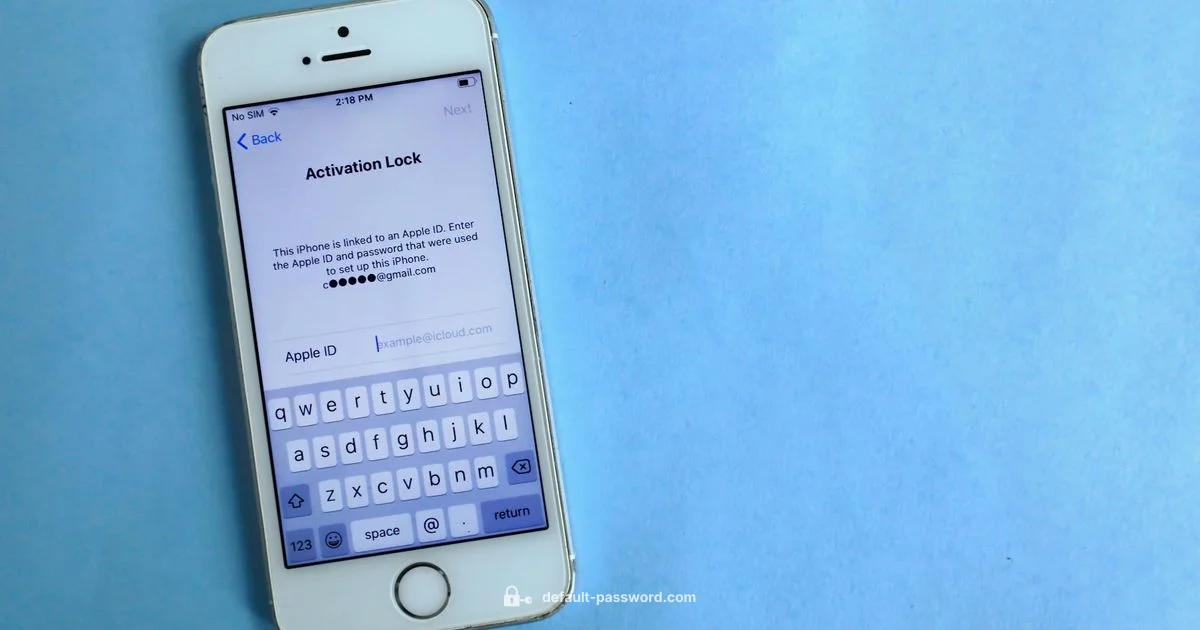 Default Password Manager on iOS