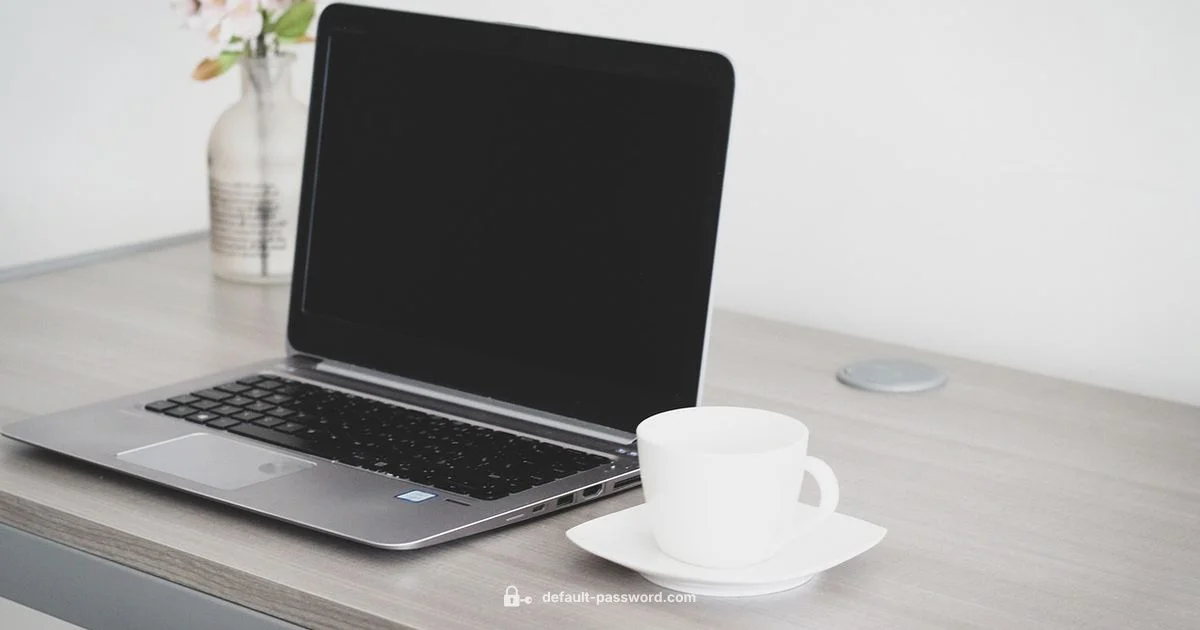 Toshiba Password Guide - Default Password