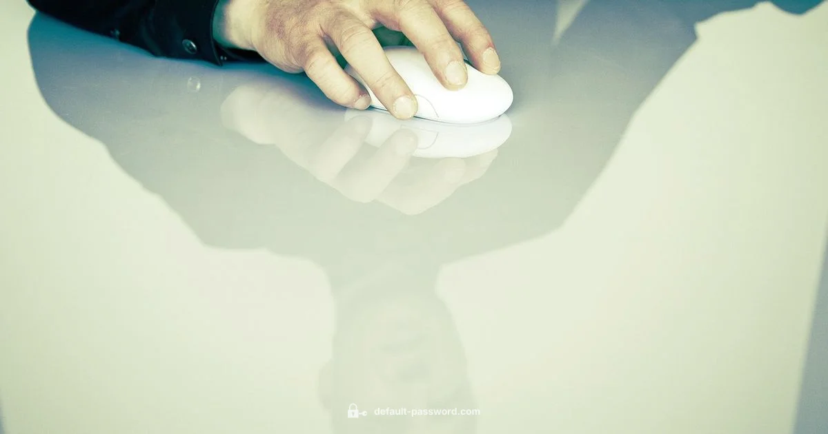 Default Password 2n Guide