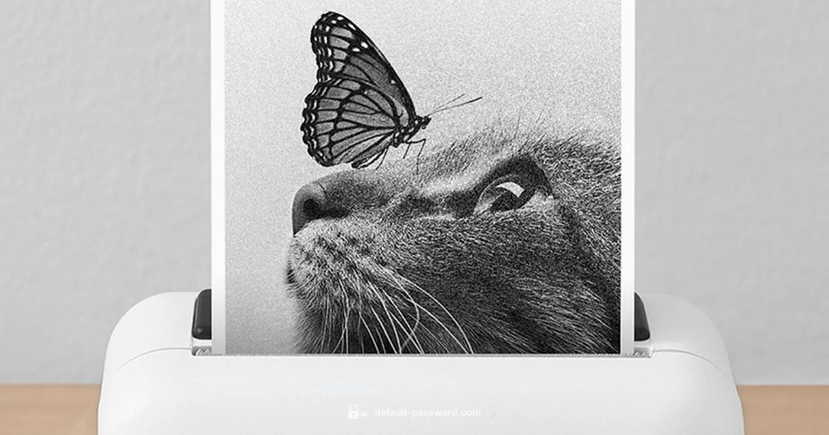 Reset & Secure - Default Password