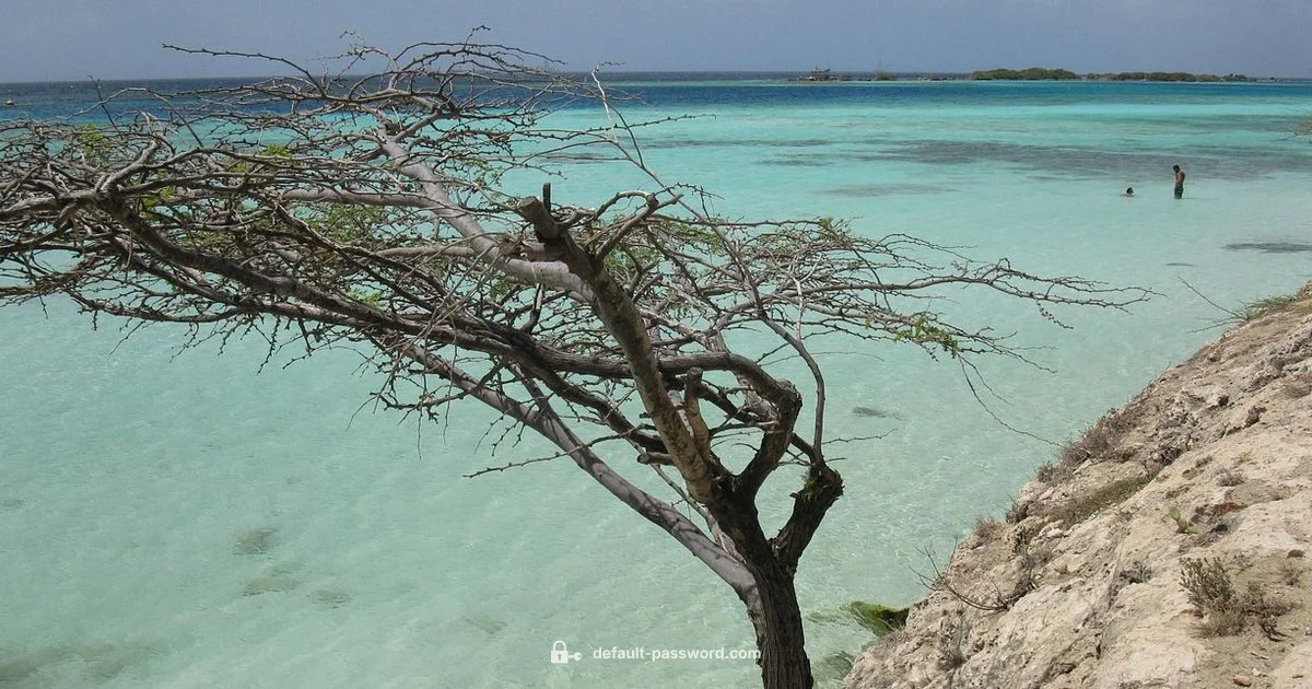 Aruba 6000 Password Guide Aruba 6000 Password Guide - Default Password