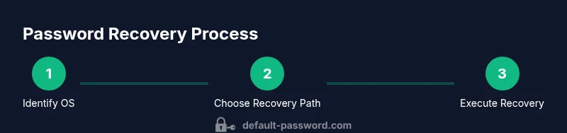 Process infographic showing Windows/macOS/Linux password recovery steps