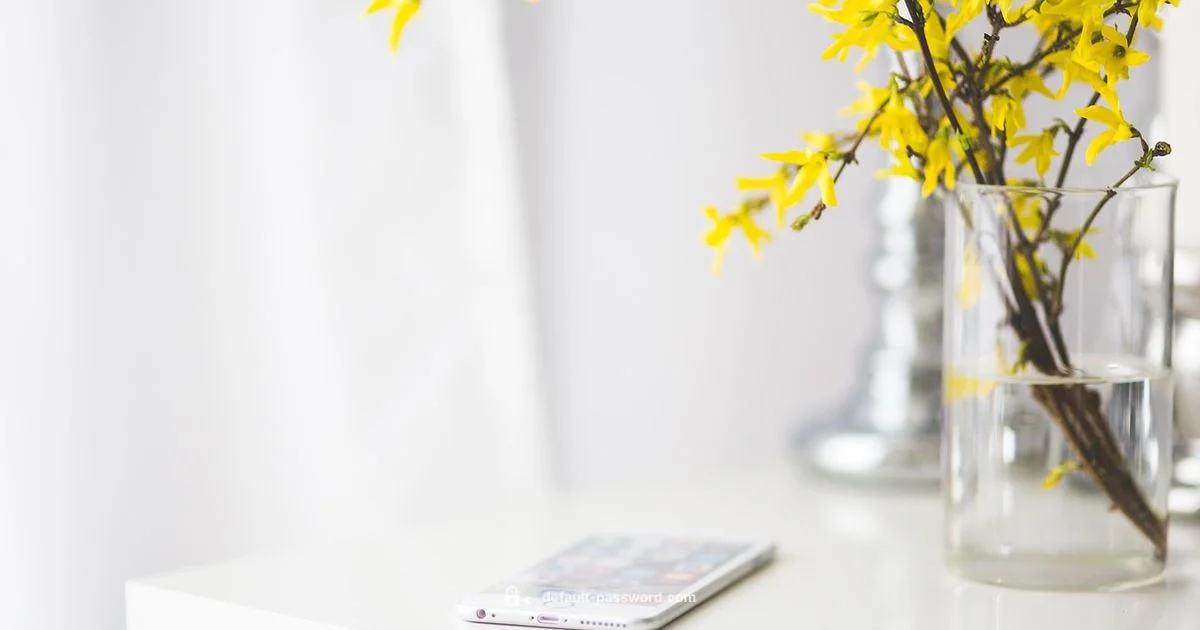 Secure SIP Passwords Secure SIP Passwords - Default Password