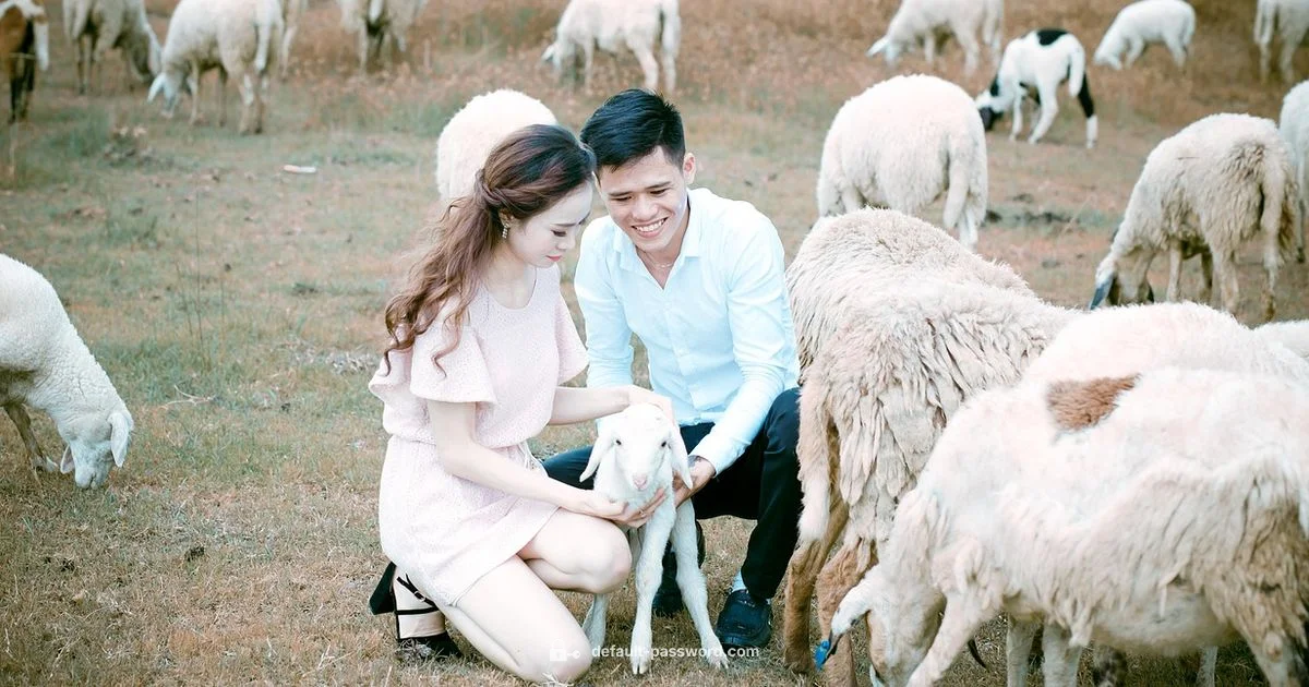 Printer Password Guide - Default Password